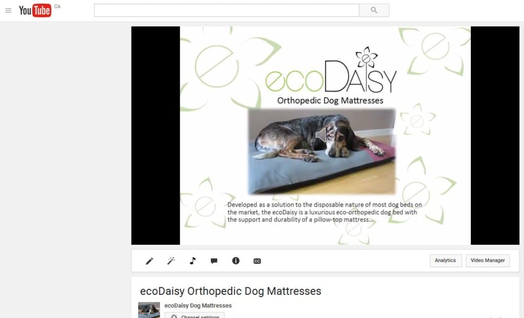 Youtube video pic